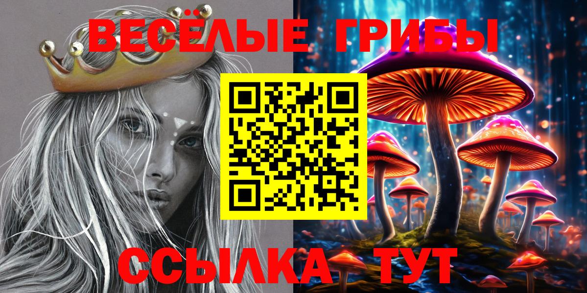 Псилоцибиновые грибы GOLDEN TEACHER Протвино